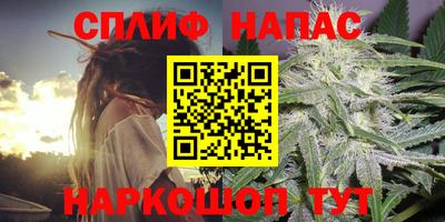 крисы Гусев