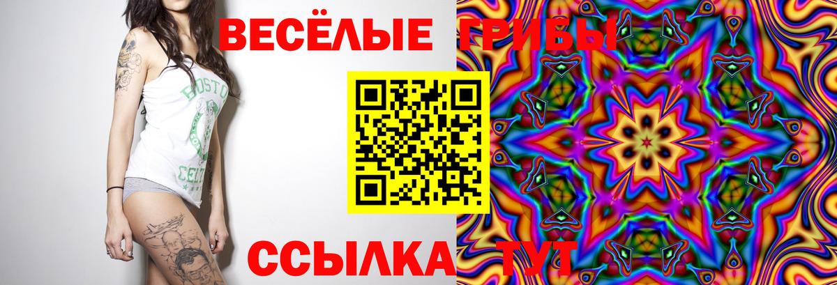 Псилоцибиновые грибы GOLDEN TEACHER Наро-Фоминск