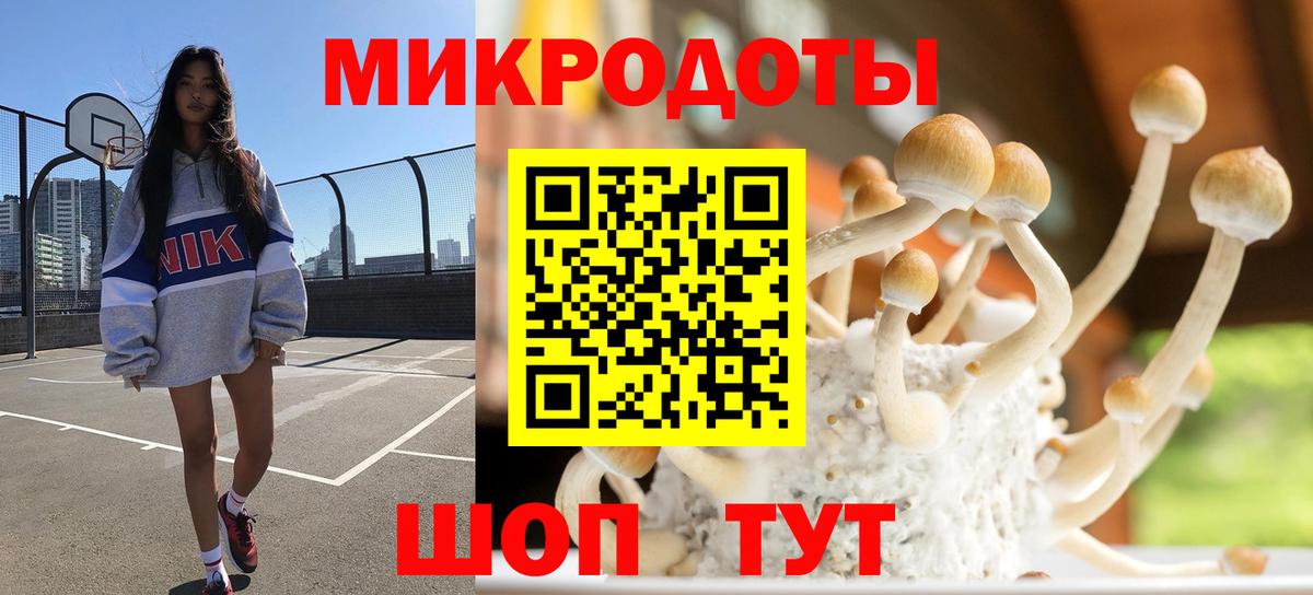 Псилоцибиновые грибы Magic Shrooms  Псилоцибиновые грибы мухоморы  Наро-Фоминск  Вход с VPN 